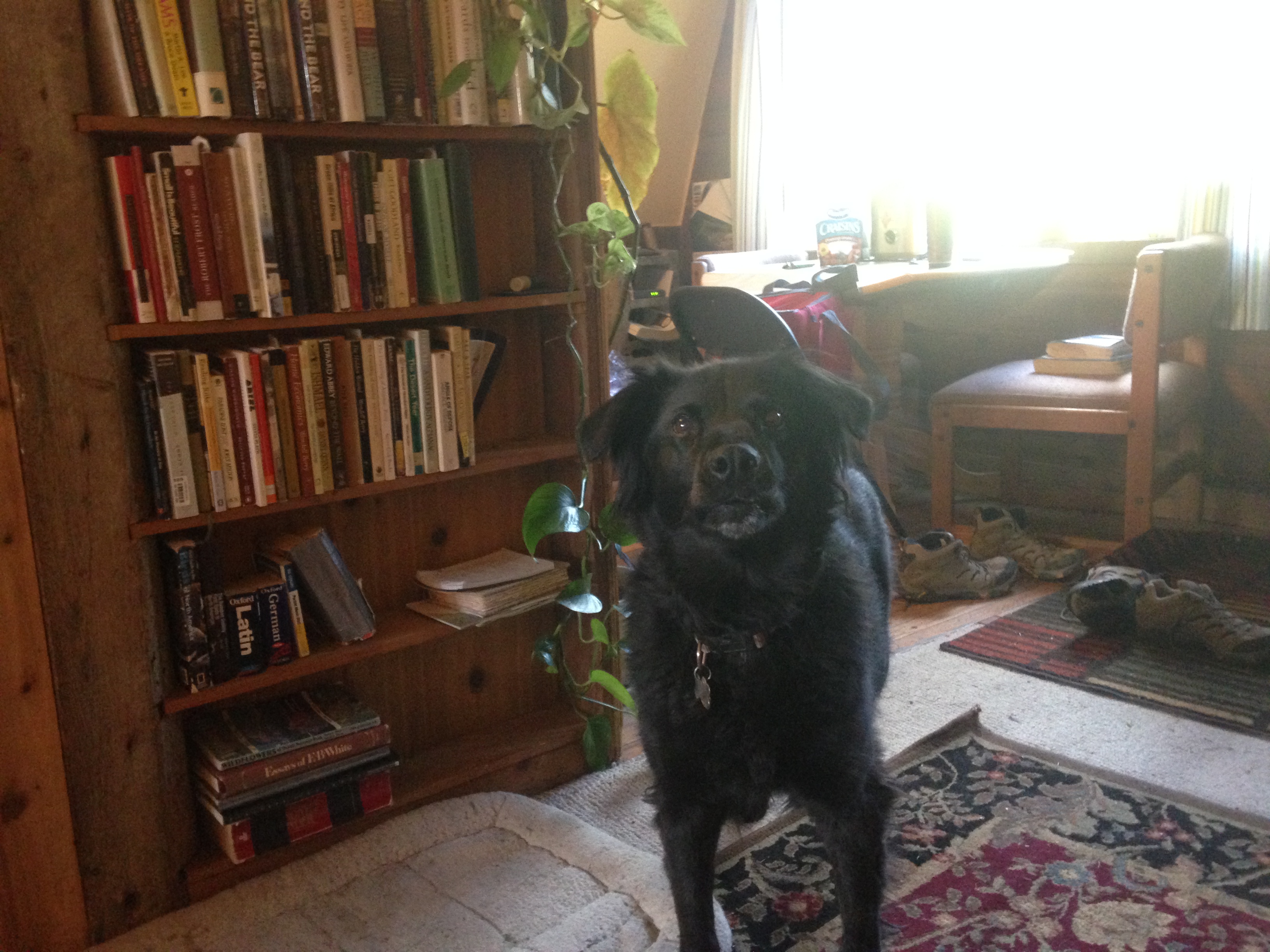 The Best Alaska Nonfiction Books to Read Before Your Adventure