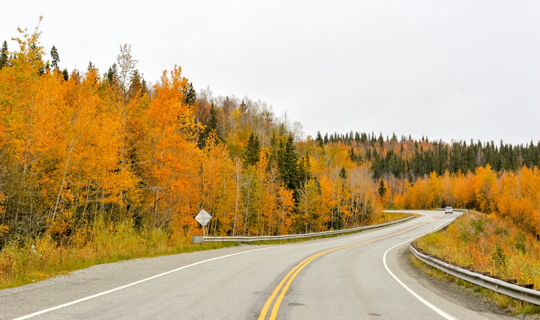 Alaska Wilderness
