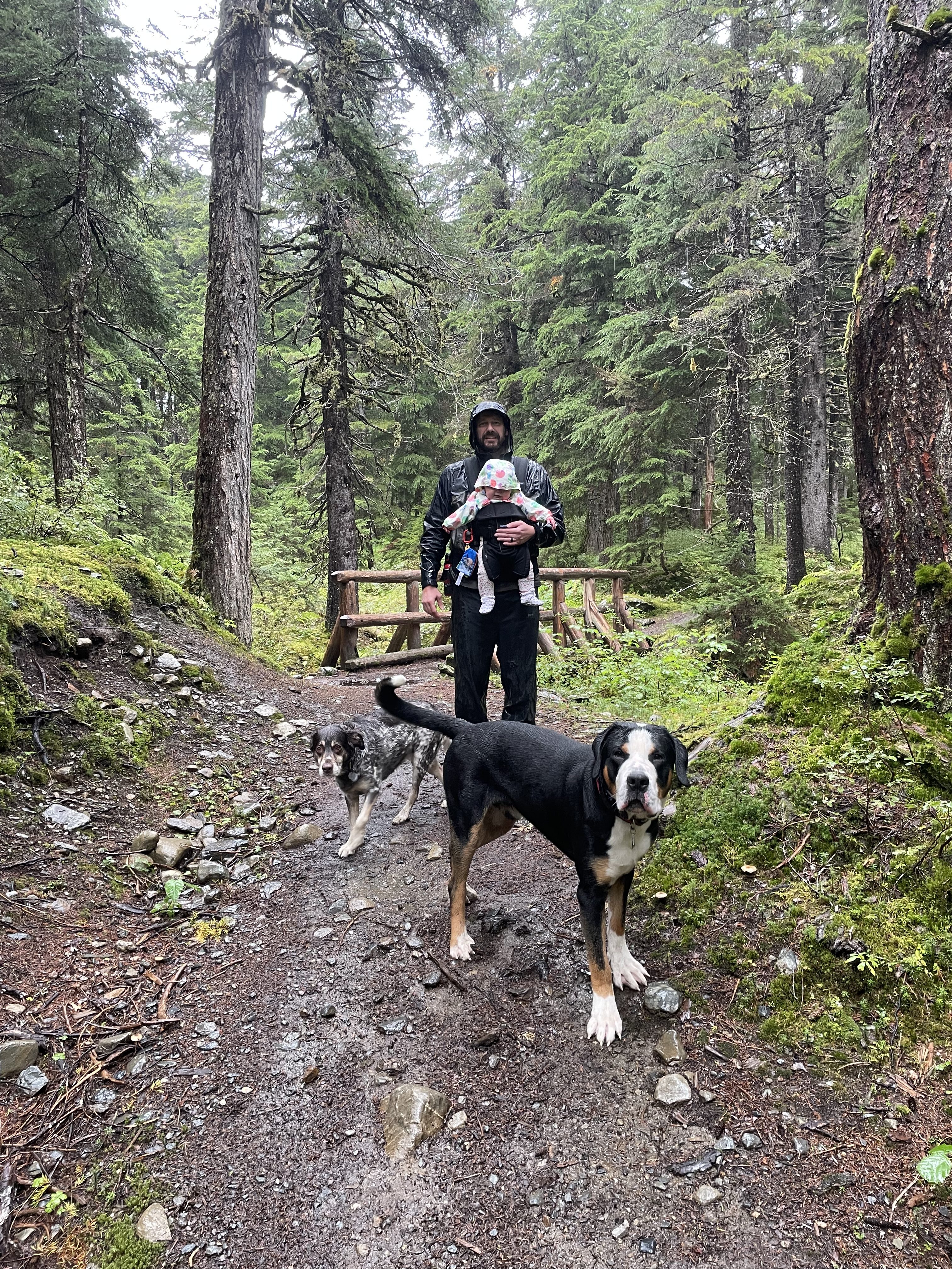 Gunnar on the trail